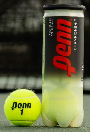 Penn Championship Extra Duty